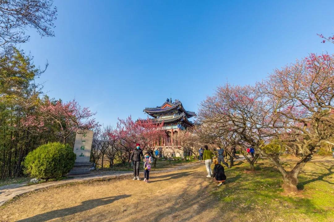 梅花山